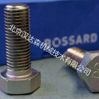 BOSSARD緊固件B3X6/BN20參數(shù)簡介