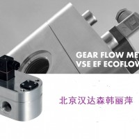 VSE  EF系列EF 0.1流量計