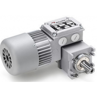 Minimotor 減速電機AM 40 AM 66 AM 100P AM 160P2 AM 180M2技術詳情