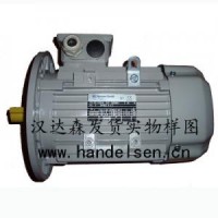 德國AC-Motoren- IE2AC20LB204交流電機(jī)