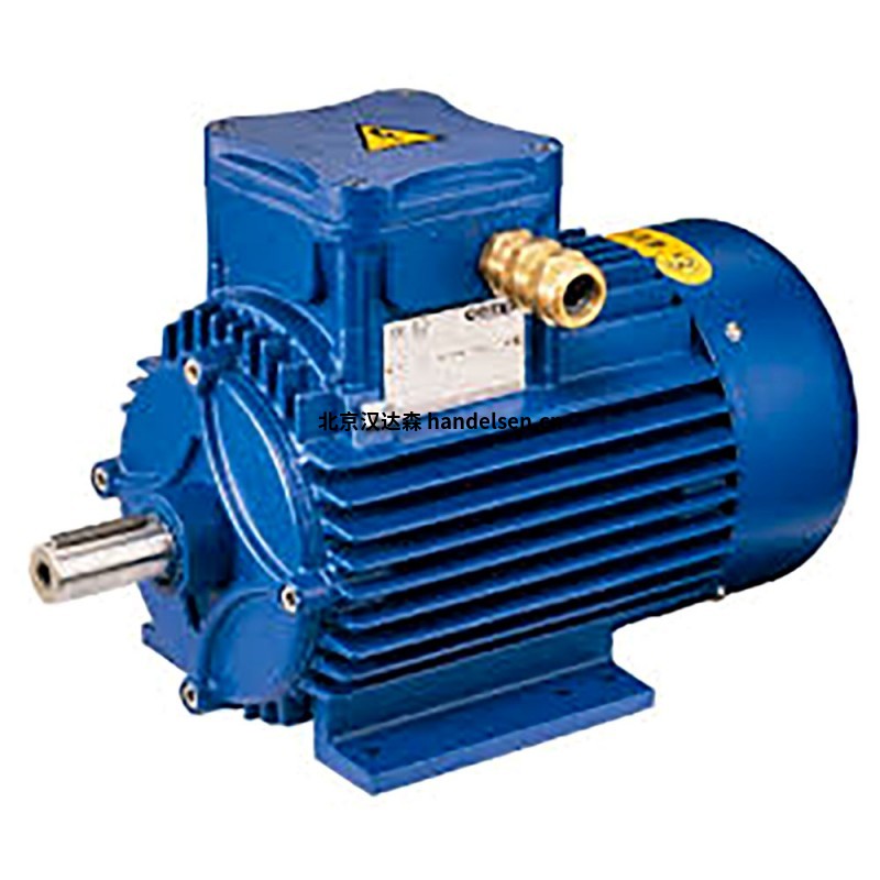 cemp-flameproof-3-phase-induction-motor-01