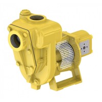 意大利 GMP PUMPS 離心泵 B11/2XR 0,75 千瓦