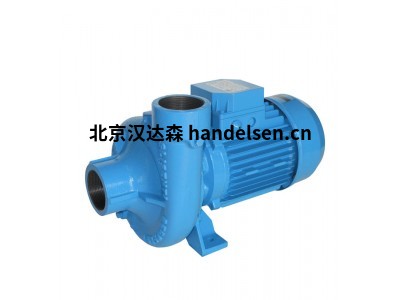 意大利 GMP PUMPS 自吸泵 B2XR 1,1 千瓦