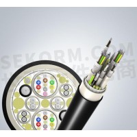 萊尼LEONI直供電纜BCA0055