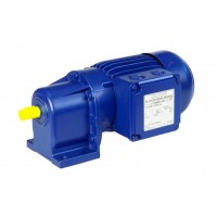 BS系列小型工業(yè)蝸輪減速電機(jī) 德國(guó) Bauer Gear Motor