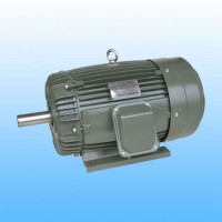 正品品質(zhì)DutchiT2A 132LB4-11三相標(biāo)準(zhǔn)電機