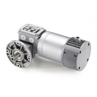 Minimotor 渦輪蝸桿驅(qū)動(dòng)器電動(dòng)機(jī)簡(jiǎn)介