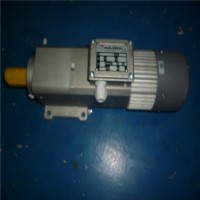 德國Mini motor 同軸電機(jī) AC-72T 7.4 B3產(chǎn)品特點