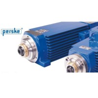 Perske KNS 51.14-2 D用于液壓夾頭系統(tǒng)的高精度電機