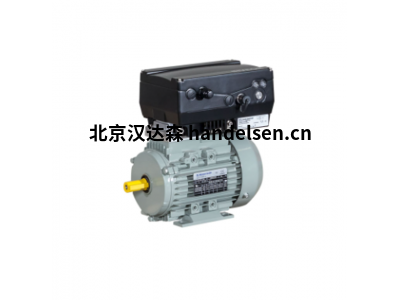 AC-Motoren IE2系列電機IE2AC06A2002附帶變頻器