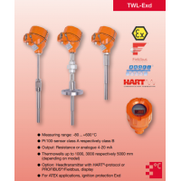 Heinrichs 電阻溫度計(jì)TWL系列，用于液體、固體和氣體的測(cè)量