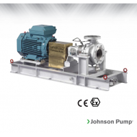 Johnson Pump 重型流程泵，適合化工/石化工業(yè)、煉油廠和一般工業(yè)應(yīng)用