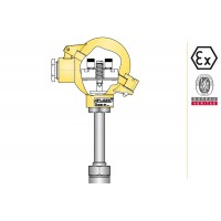 aplisens CTSW1 CTSW2潤濕件材料15HM溫度計傳感器類型ATEX認證