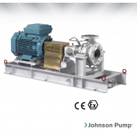 Johnson Pump 重型流程泵，適合化工、煉油廠和一般工業(yè)應(yīng)用