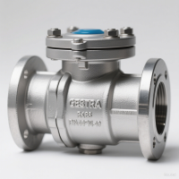 GESTRA RK86DN40PN40 止回閥：蒸汽與工業(yè)流體系統(tǒng)的堅固守護者