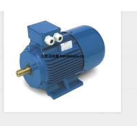 意大利 OEMER 異步電機(jī) MTES3 系列：高效驅(qū)動(dòng)，賦能工業(yè)新動(dòng)能