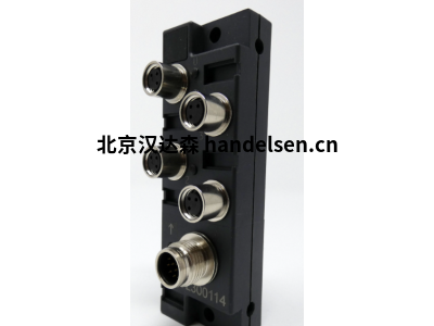 IPF electronic模塊  VL310108